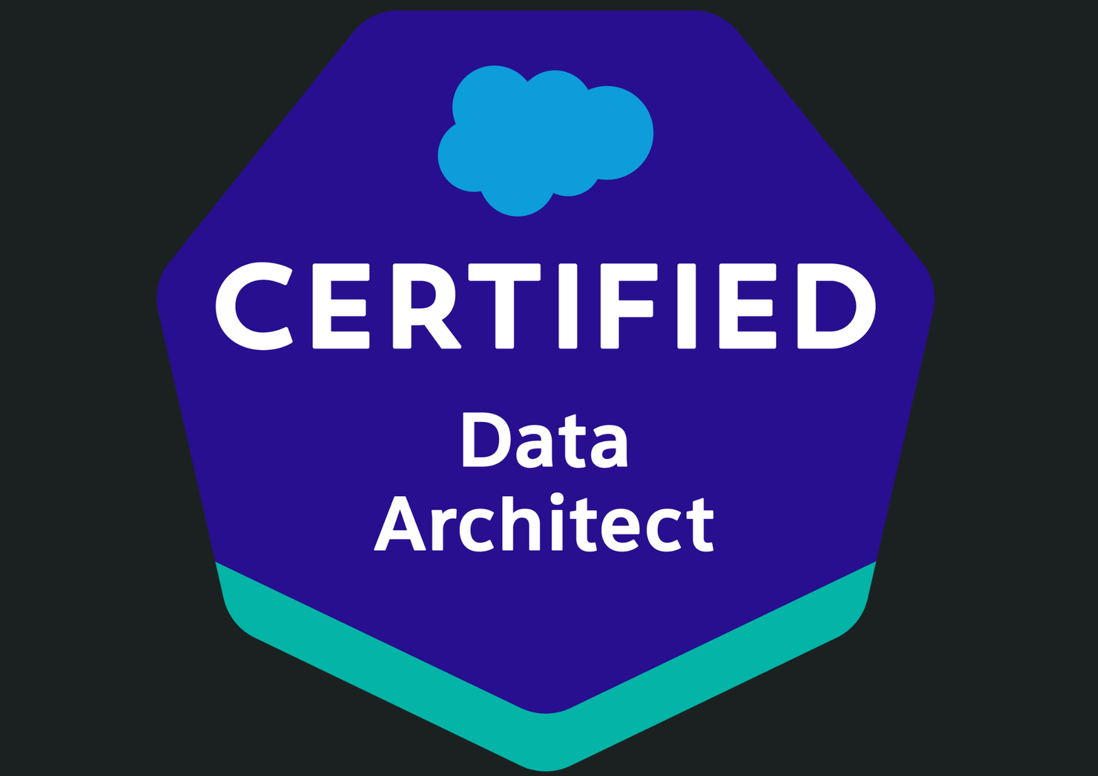 Salesforce Data Architect